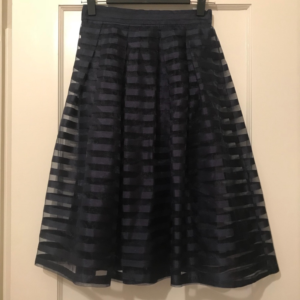 Navy Blue Organza Striped Midi skirt (from ASOS)